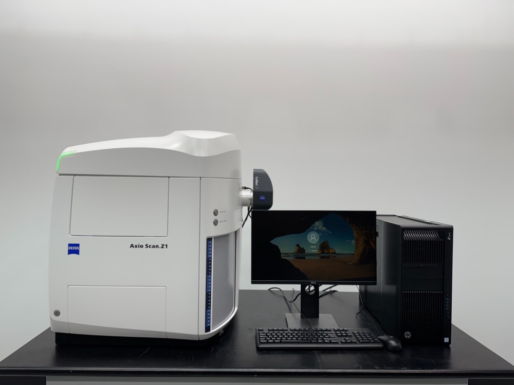 Image of Carl Zeiss Axio Scan Z1 Microscope